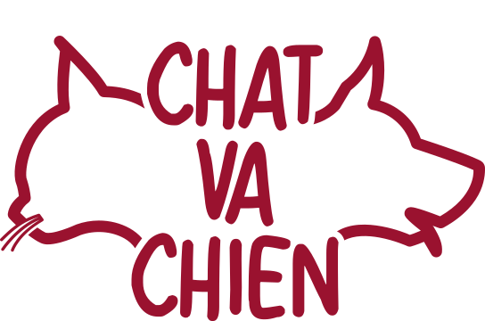 ChatVaChien