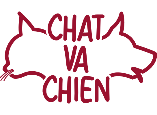 ChatVaChien